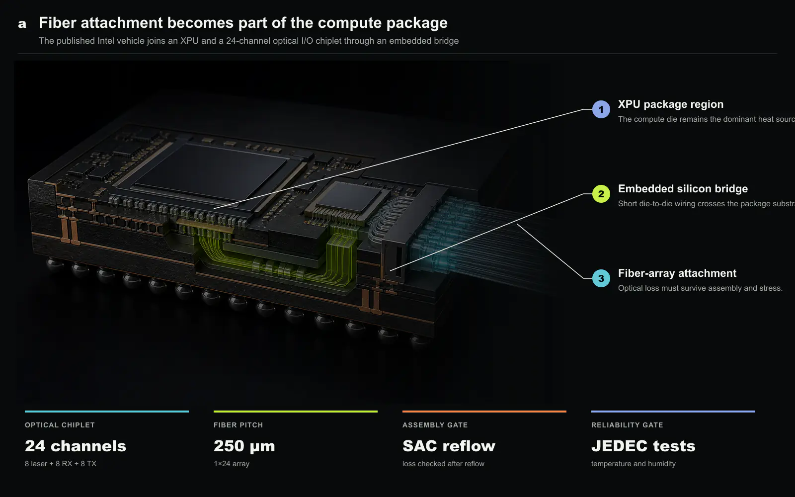 Intel’s published test vehicle couples an XPU to a 24-channel optical I/O chiplet through an embedded bridge and brings a fiber array to the package edge. The callouts summarize the reported assembly contract; the hardware is a conceptual material plate, not a source cross-section or product image. Original figure created for this article.