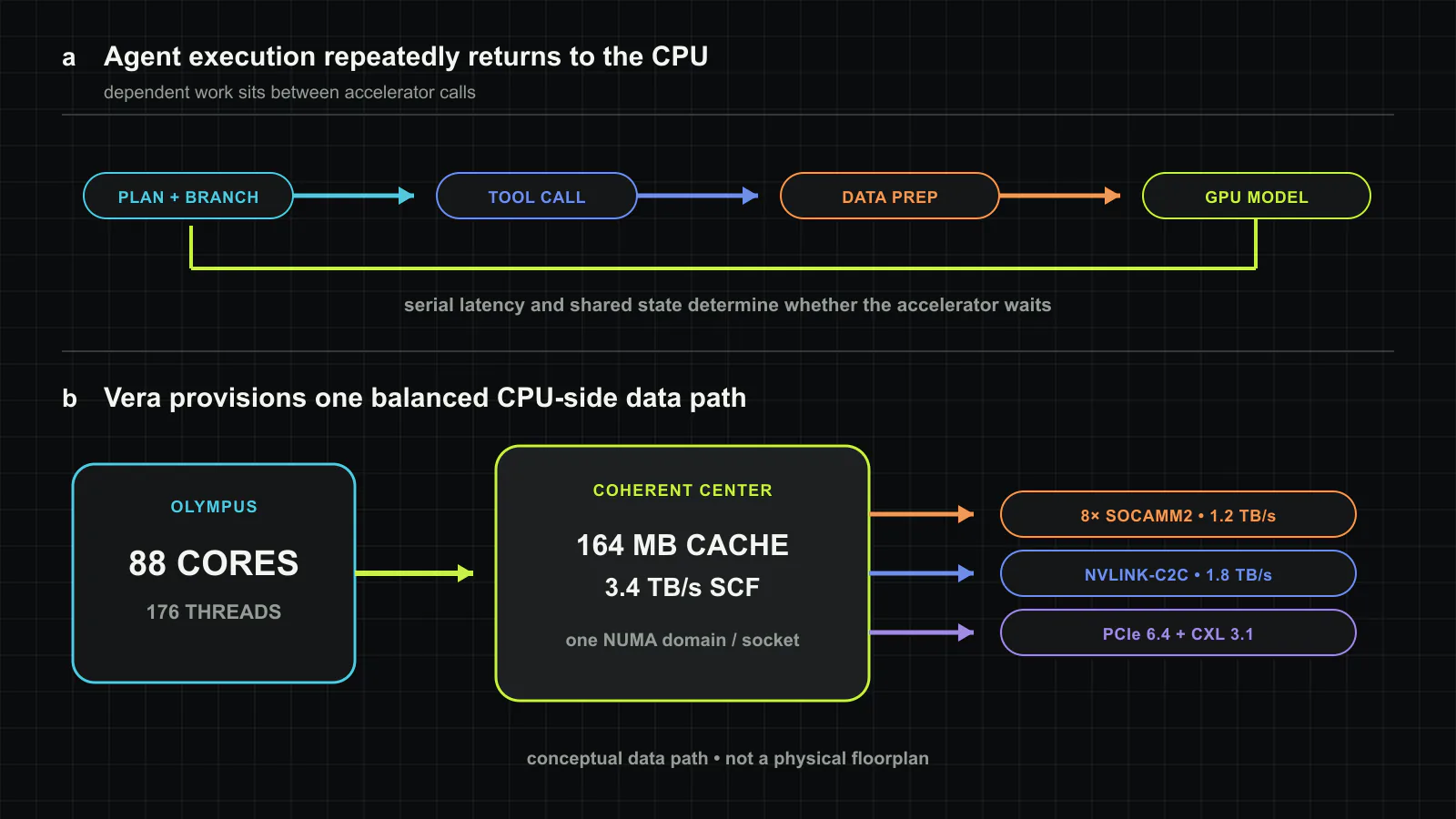 Vera as the CPU-side engine of an agent loop. The 88 Olympus cores handle control flow, tools and data preparation; the 164 MB system-level cache and 3.4 TB/s coherent fabric connect them to eight serviceable LPDDR5X modules, PCIe and CXL devices, and a 1.8 TB/s NVLink-C2C path to accelerators. The arrangement is conceptual rather than a physical floorplan. Original figure created for this article.